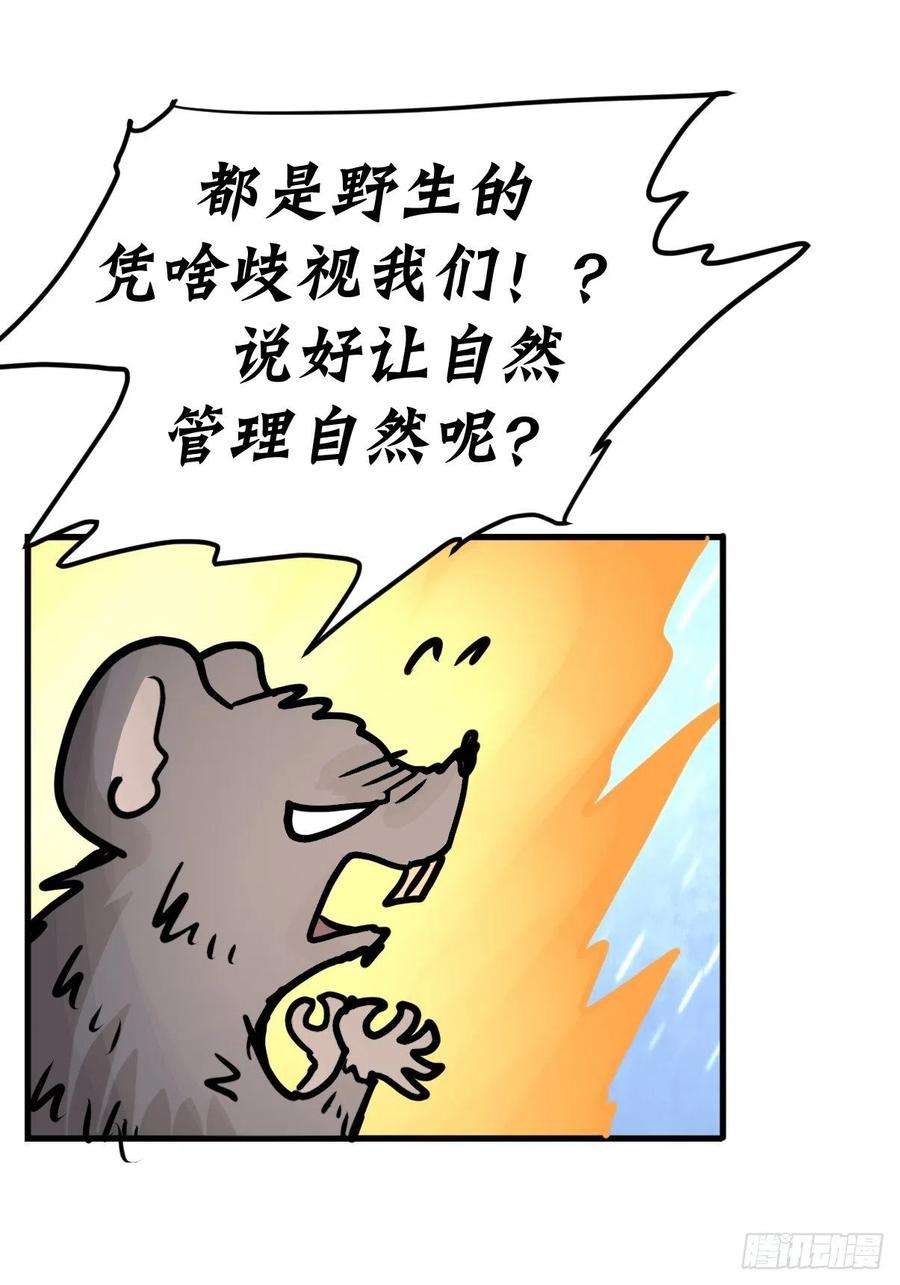 进化之基四海篇29：远虎治不了近鼠？