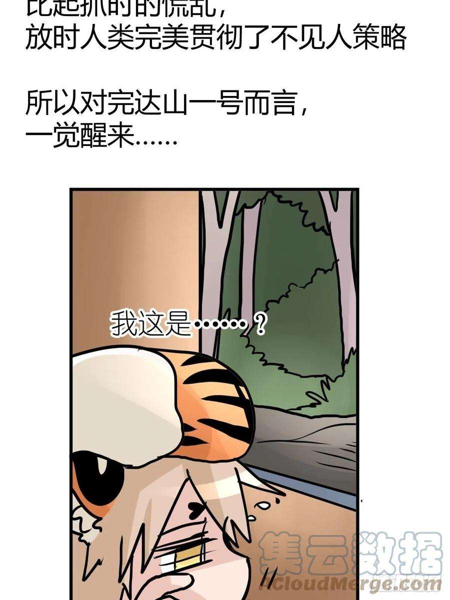 进化之基四海篇29：远虎治不了近鼠？