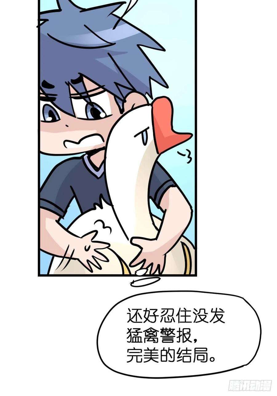 进化之基四海篇29：远虎治不了近鼠？