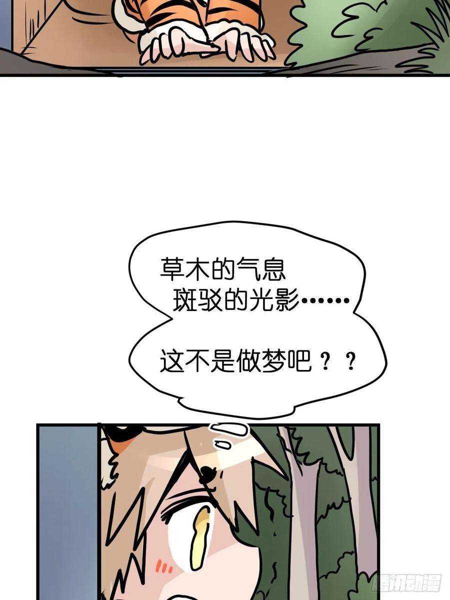 进化之基四海篇29：远虎治不了近鼠？