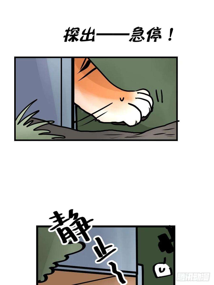 进化之基四海篇29：远虎治不了近鼠？