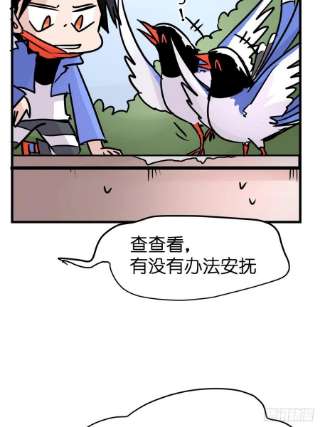 进化之基救助站篇06：祸不单行·中