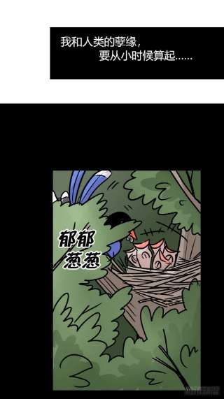 进化之基救助站篇06：祸不单行·中