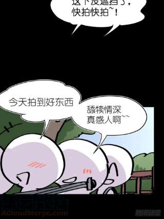 进化之基救助站篇06：祸不单行·中