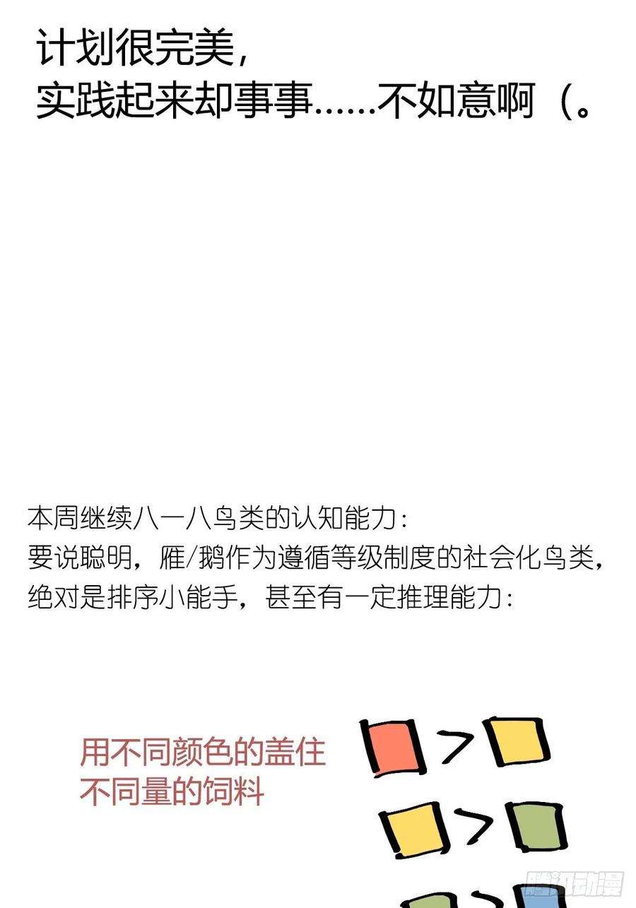 进化之基救助站12：开局……不利？
