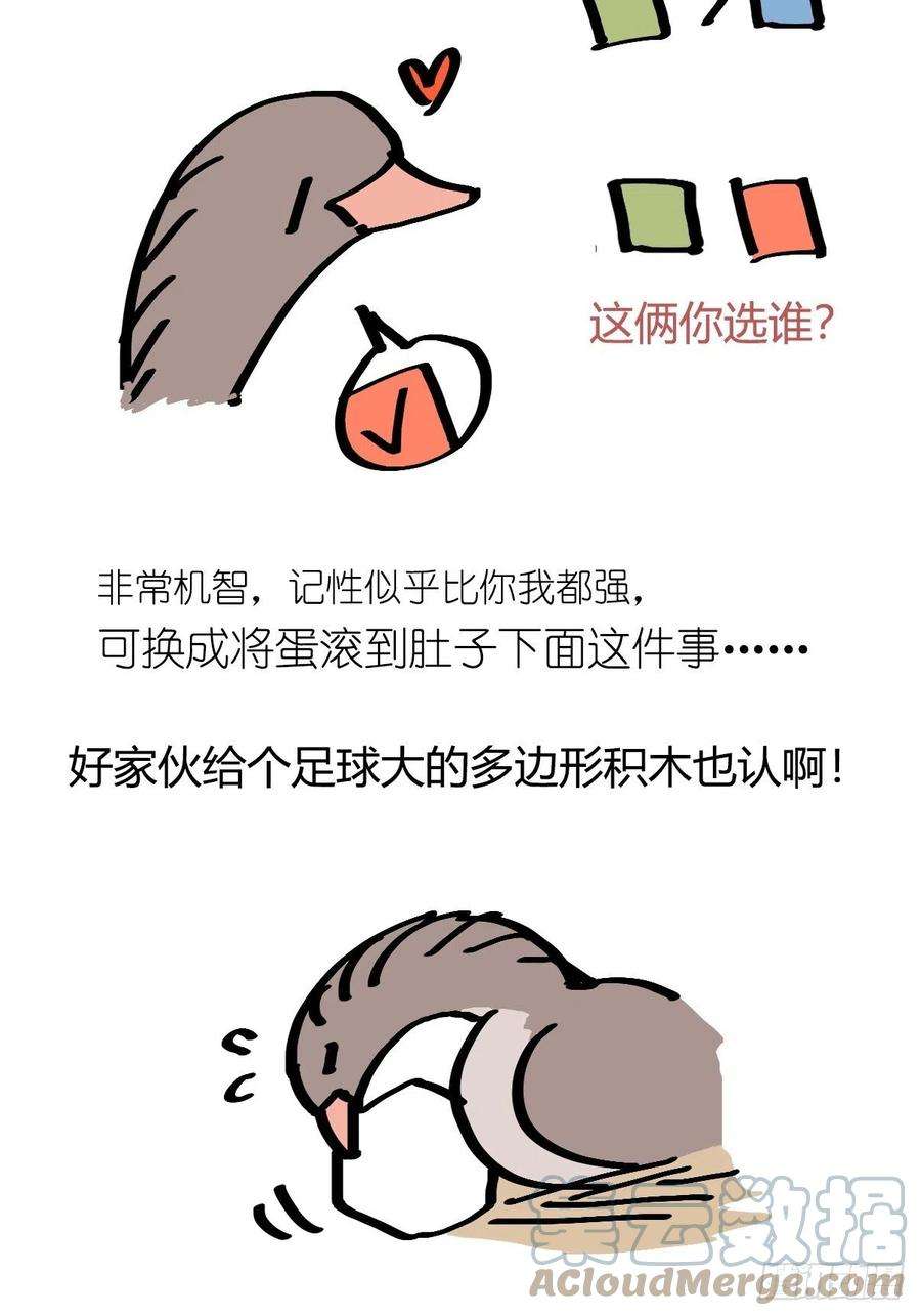 进化之基救助站12：开局……不利？