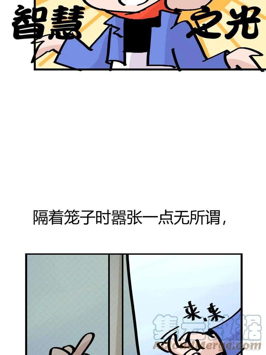 进化之基救助站13：鹊生如戏