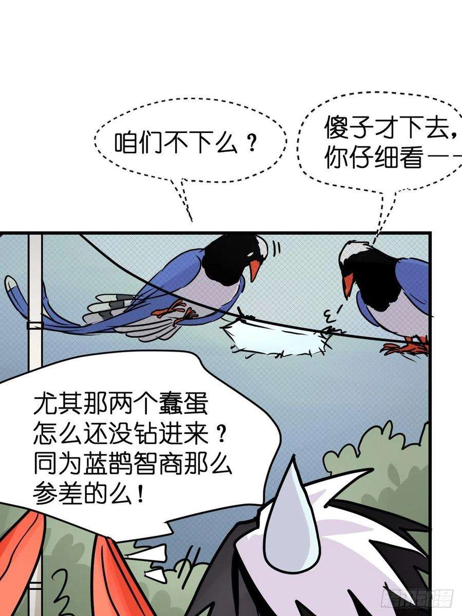 进化之基救助站13：鹊生如戏