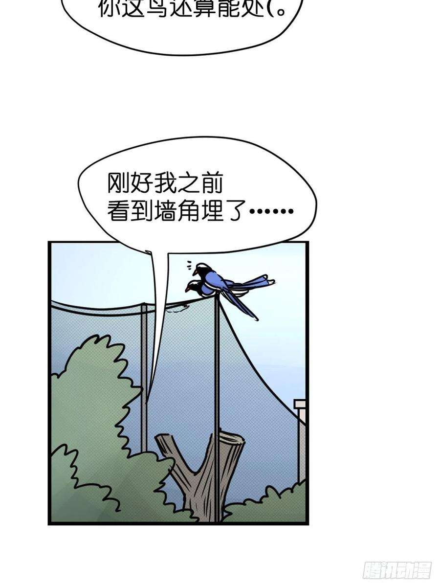 进化之基救助站13：鹊生如戏