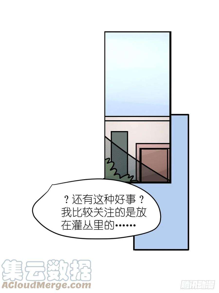 进化之基救助站13：鹊生如戏