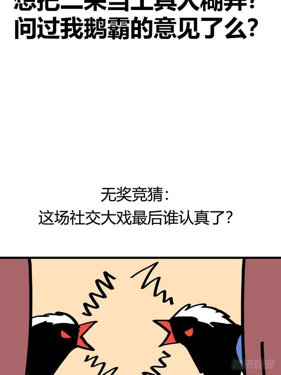 进化之基救助站13：鹊生如戏