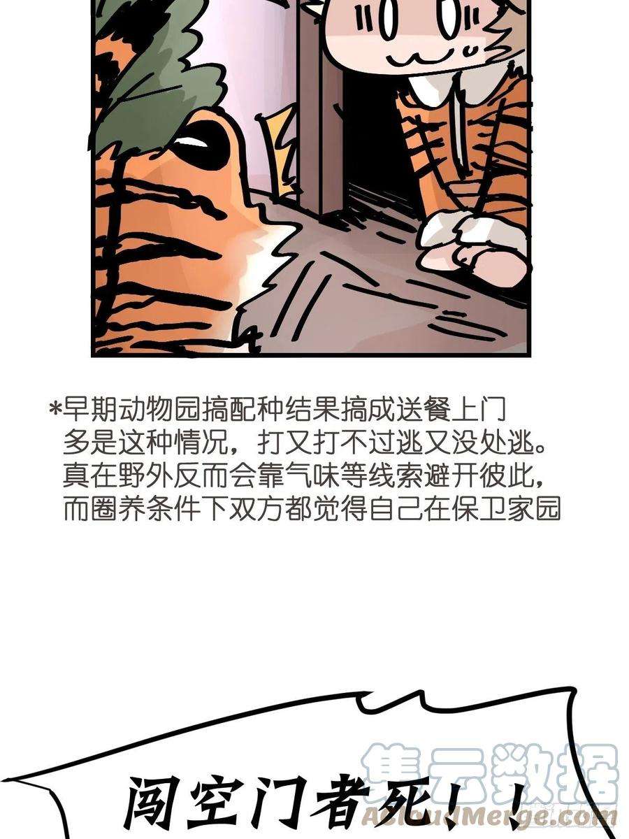 进化之基救助站13：鹊生如戏