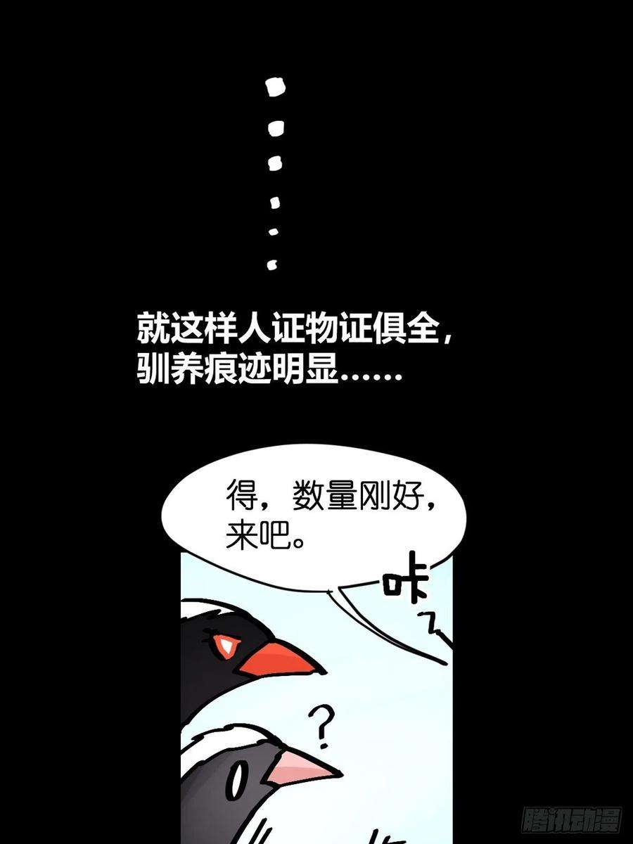 进化之基救助站14：作精的自我修养
