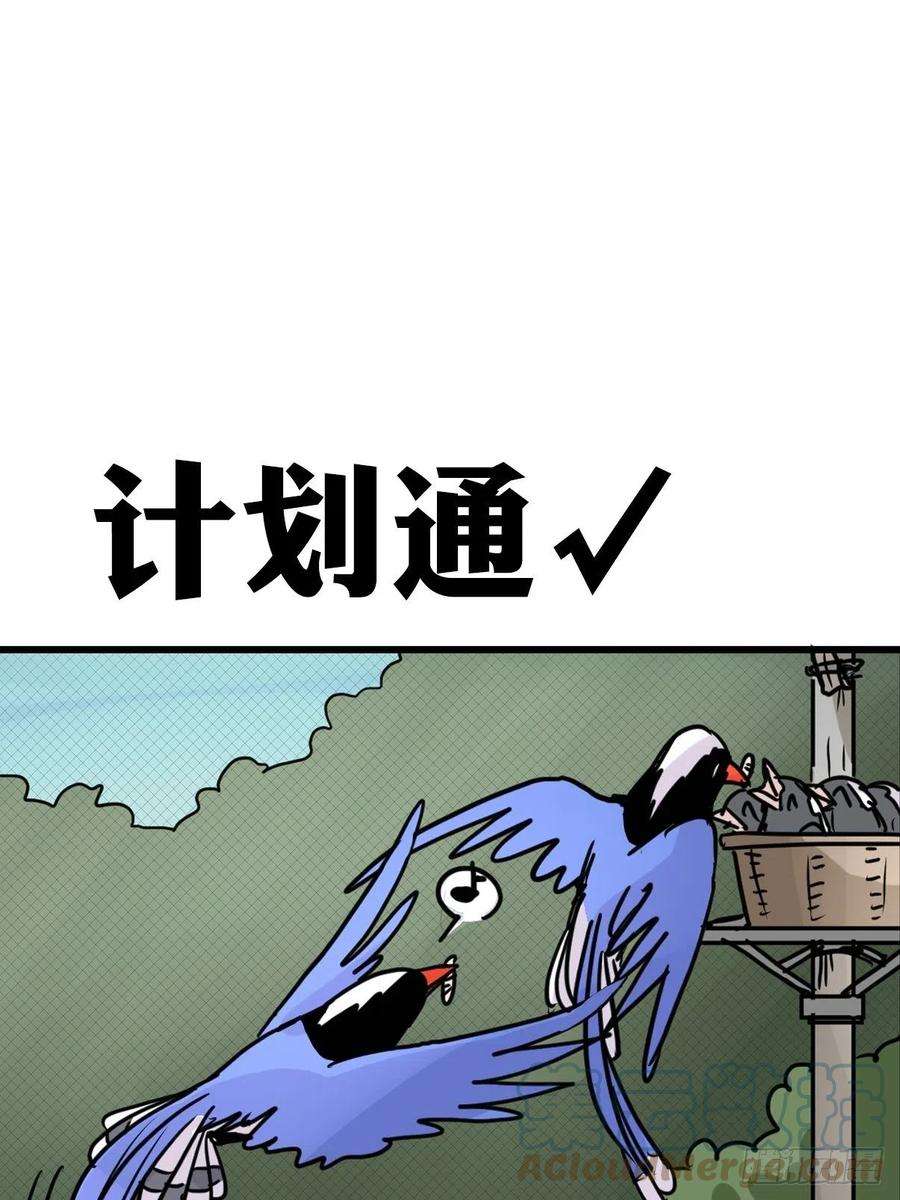 进化之基救助站18：看热闹不嫌事大