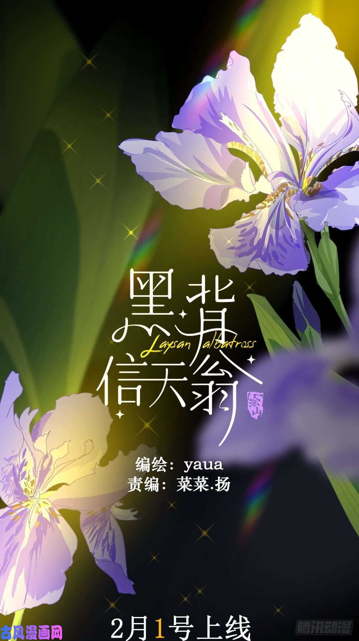 黑背信天翁预告