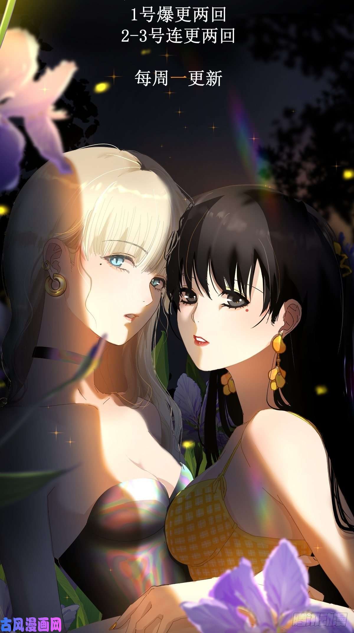 黑背信天翁预告