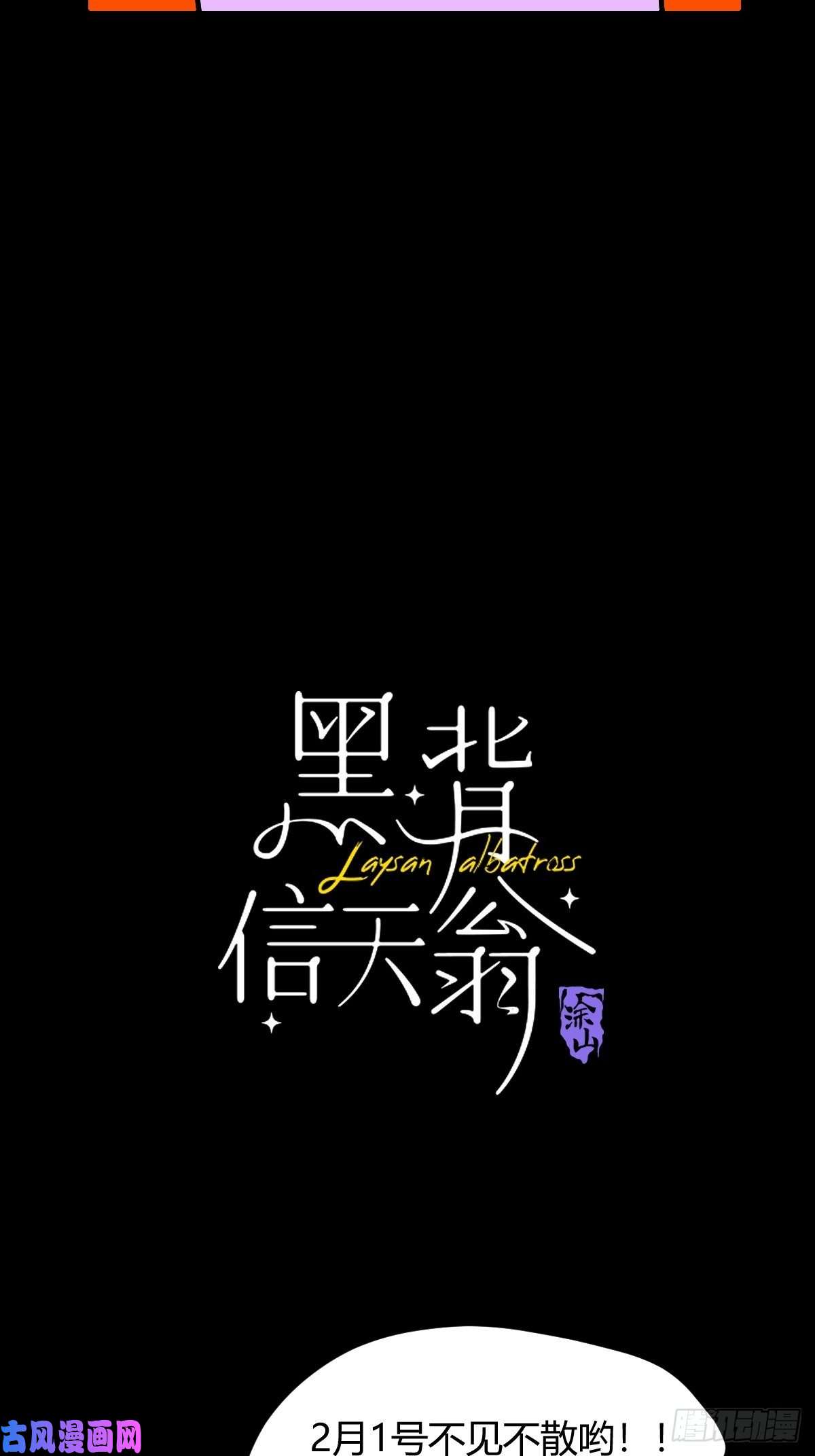 黑背信天翁预告