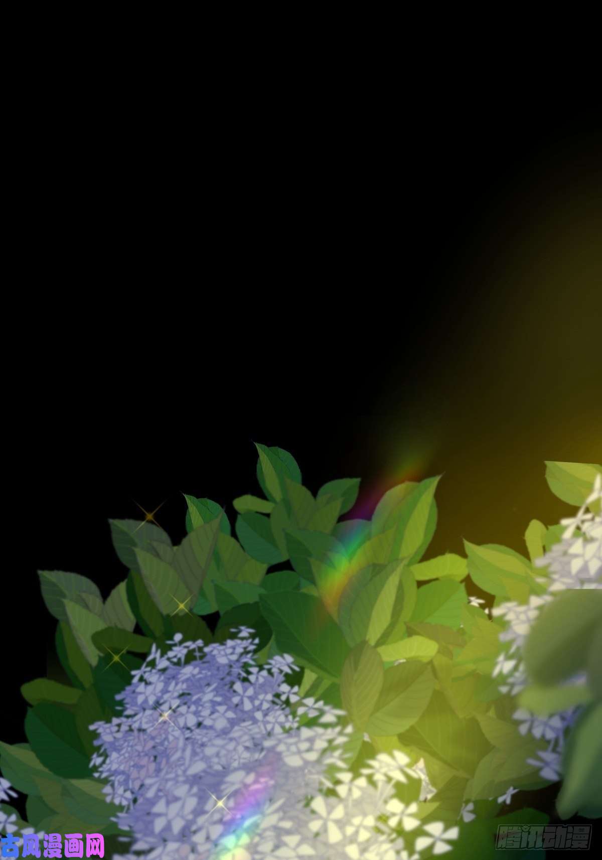 黑背信天翁大自然都接纳它们