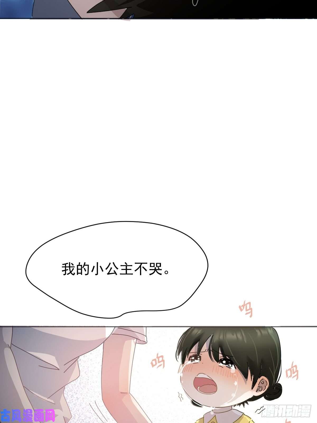 黑背信天翁大自然都接纳它们