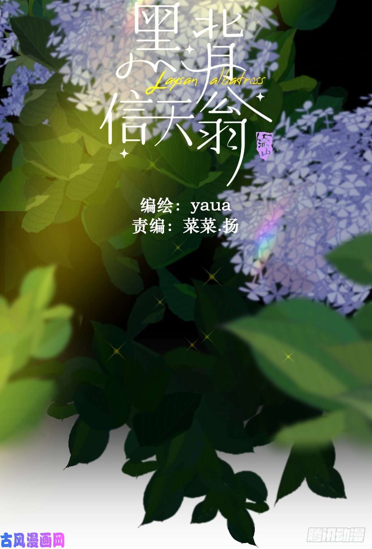 黑背信天翁大自然都接纳它们