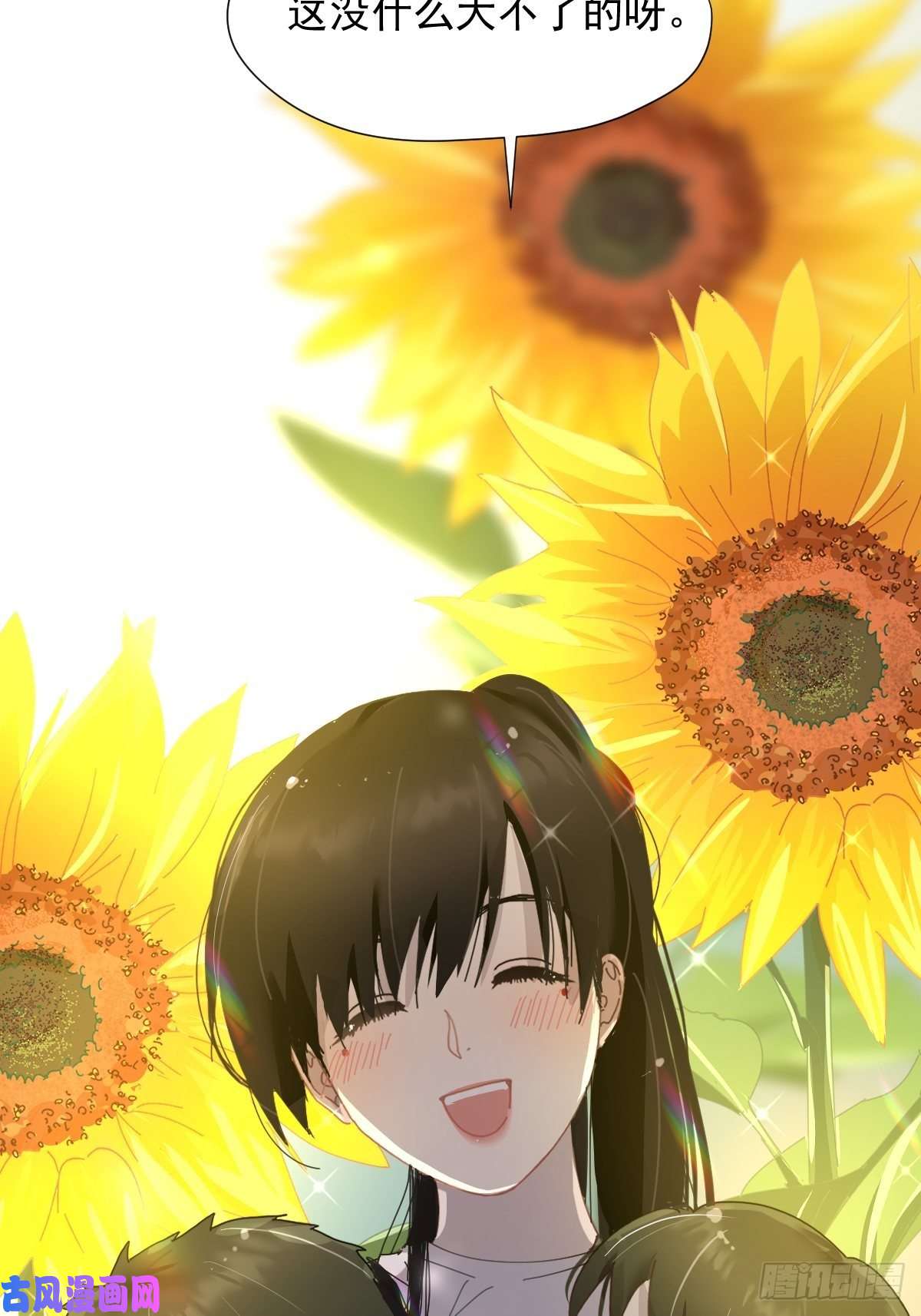 黑背信天翁大自然都接纳它们