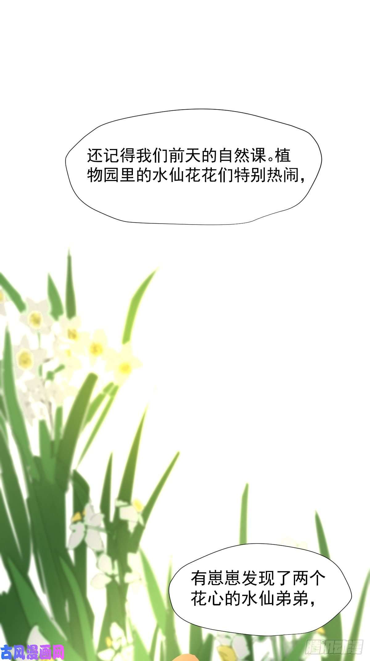 黑背信天翁大自然都接纳它们