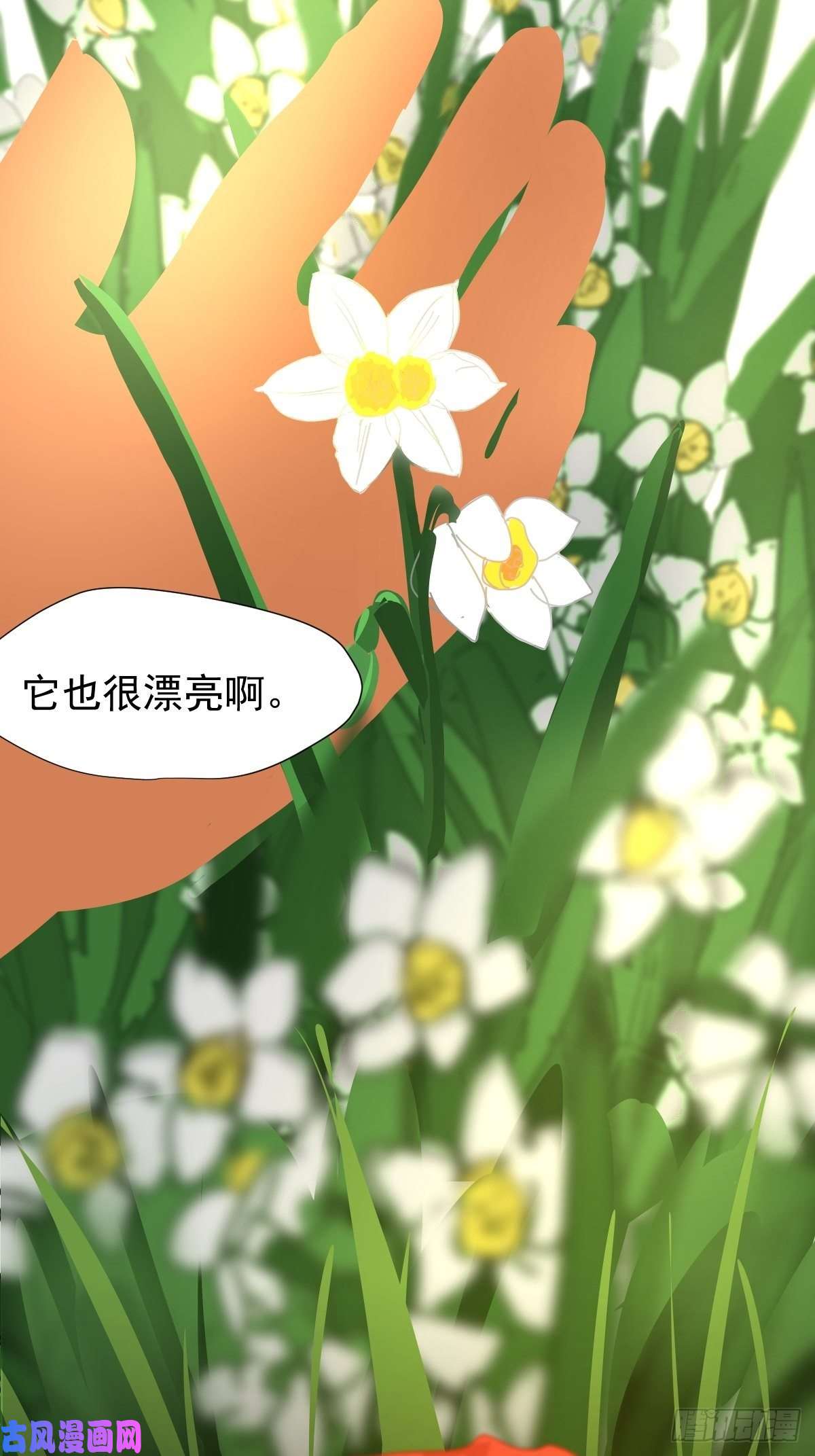 黑背信天翁大自然都接纳它们