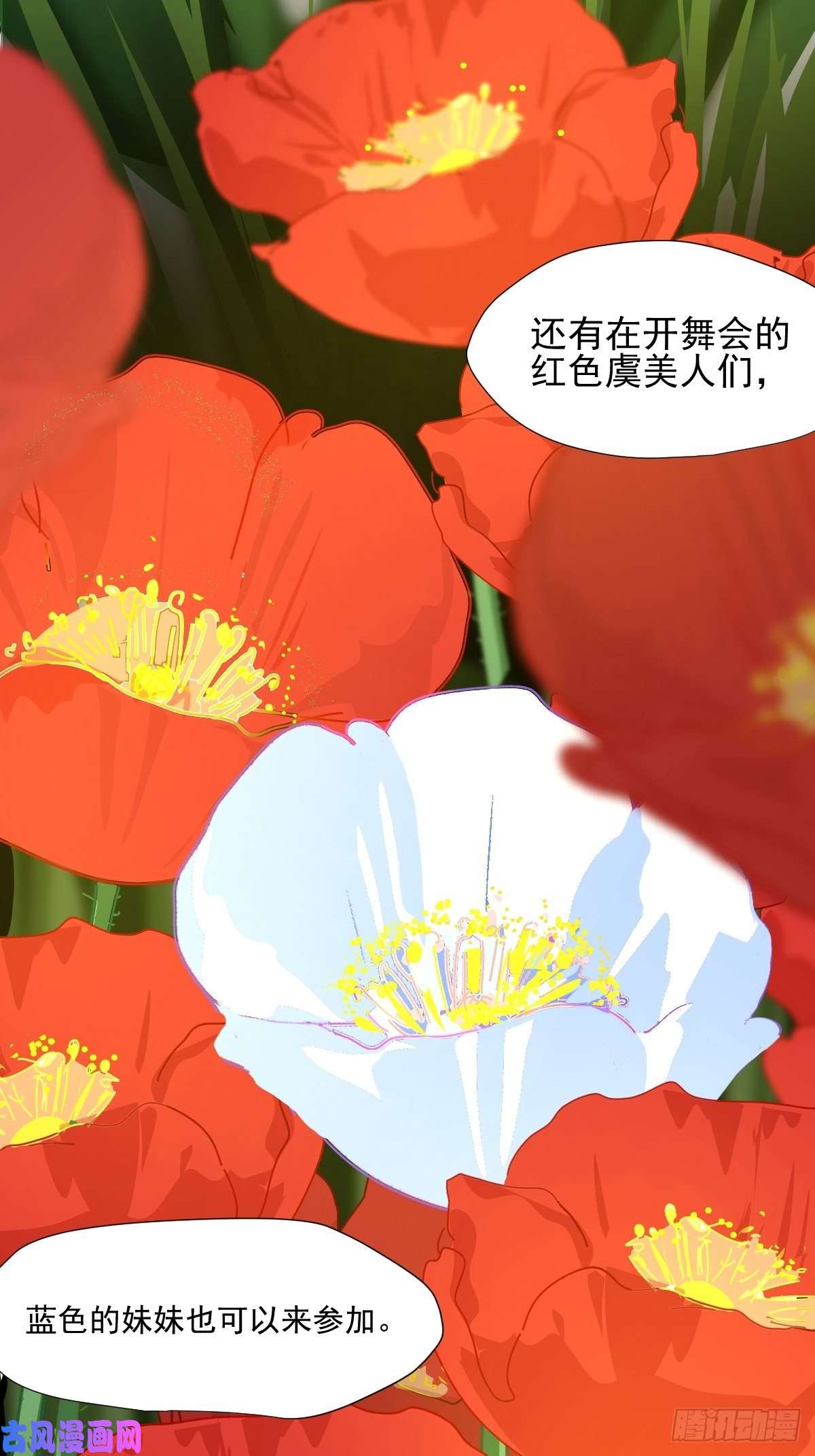 黑背信天翁大自然都接纳它们