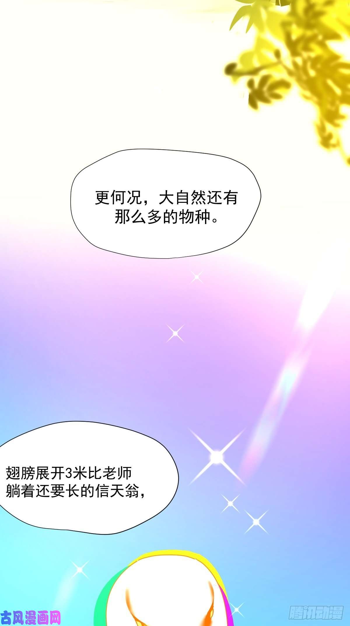 黑背信天翁大自然都接纳它们