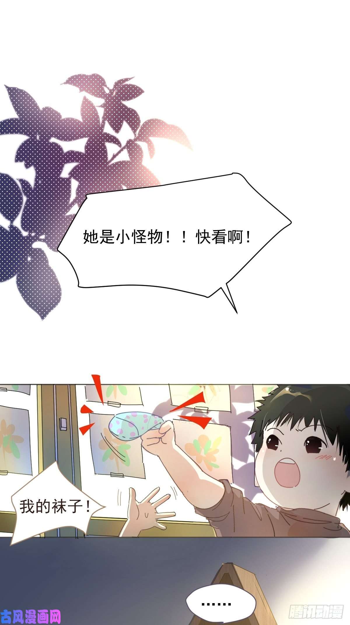 黑背信天翁大自然都接纳它们