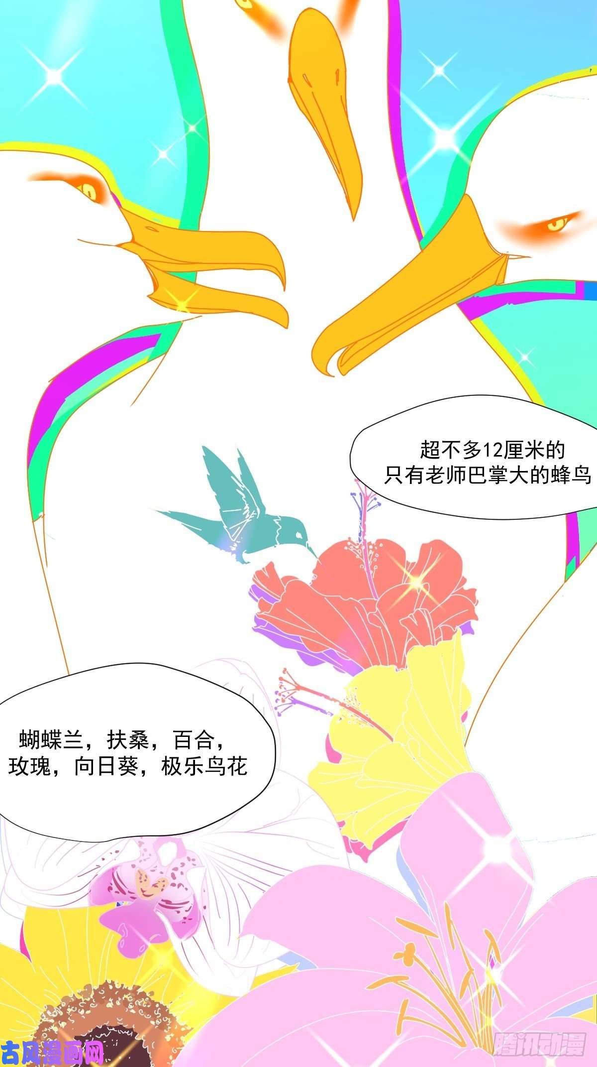 黑背信天翁大自然都接纳它们