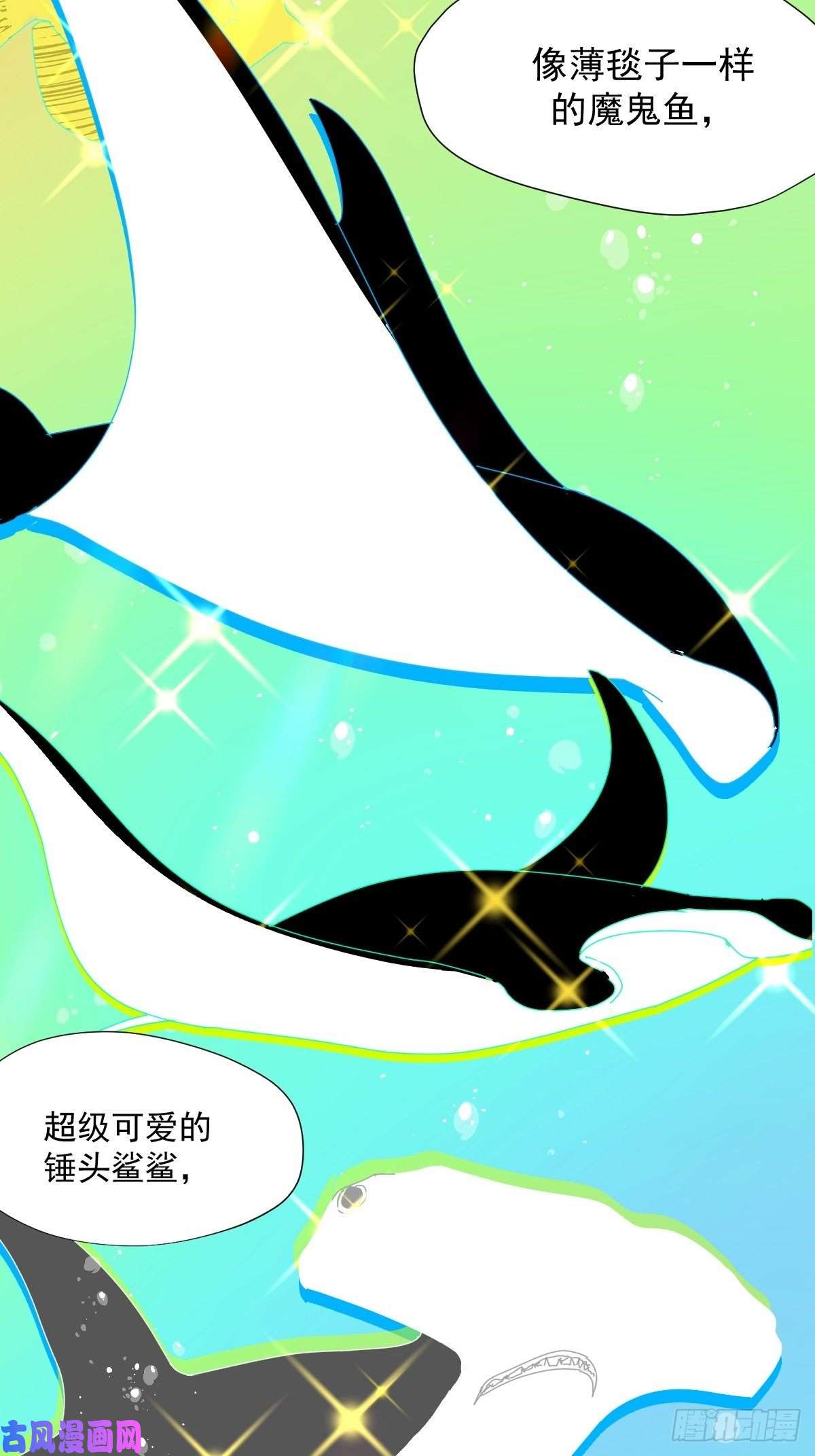 黑背信天翁大自然都接纳它们