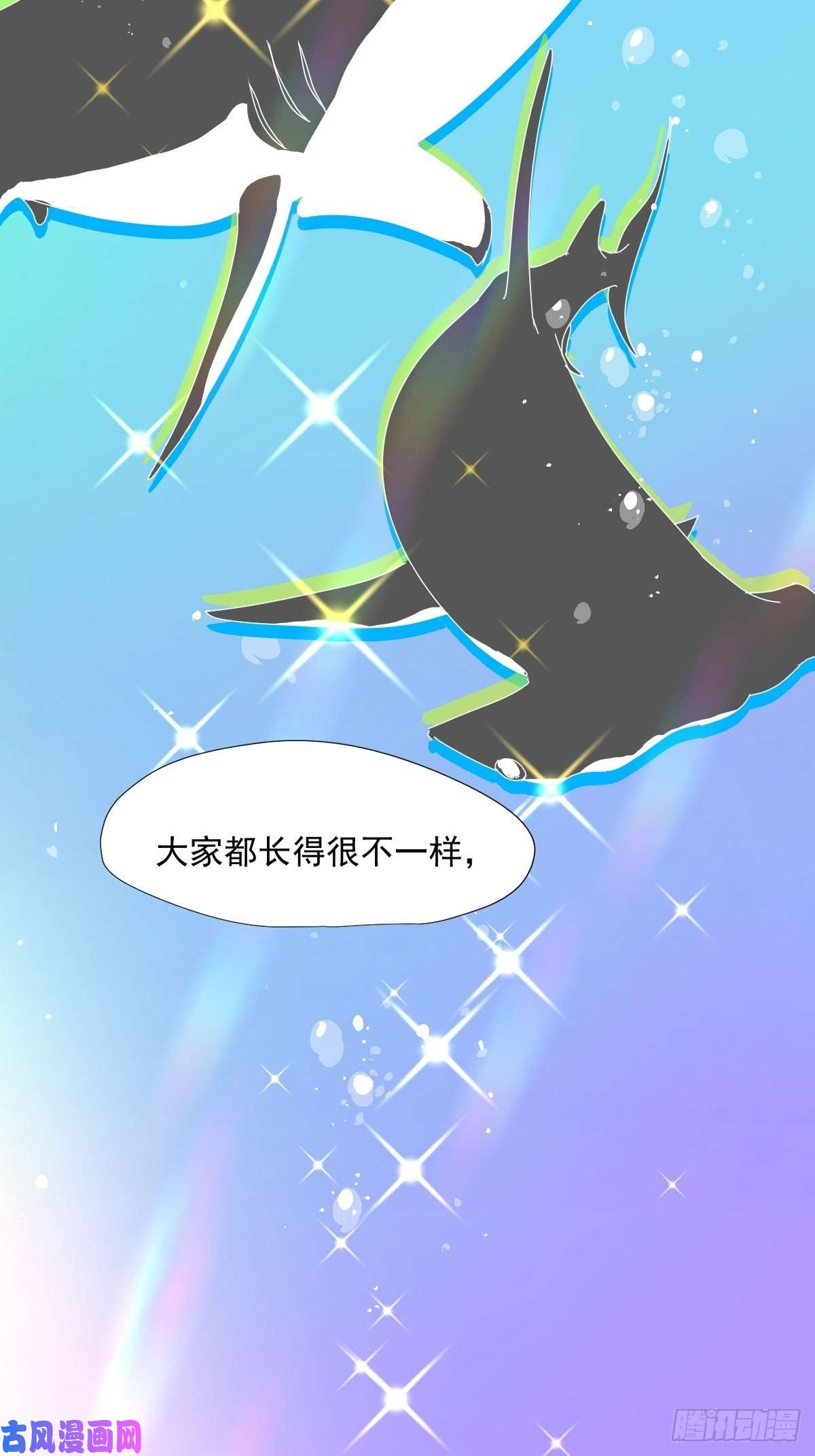 黑背信天翁大自然都接纳它们