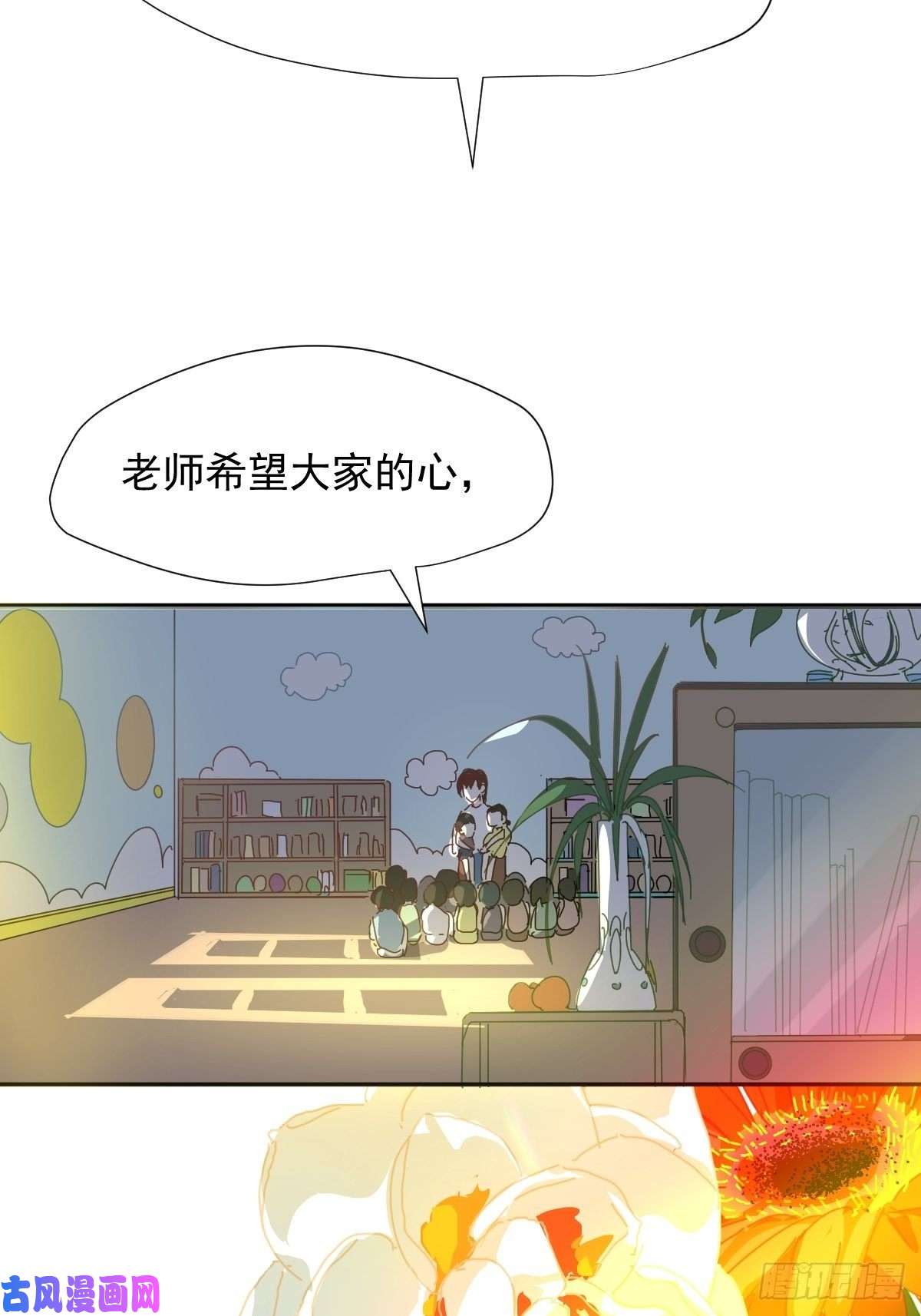 黑背信天翁大自然都接纳它们