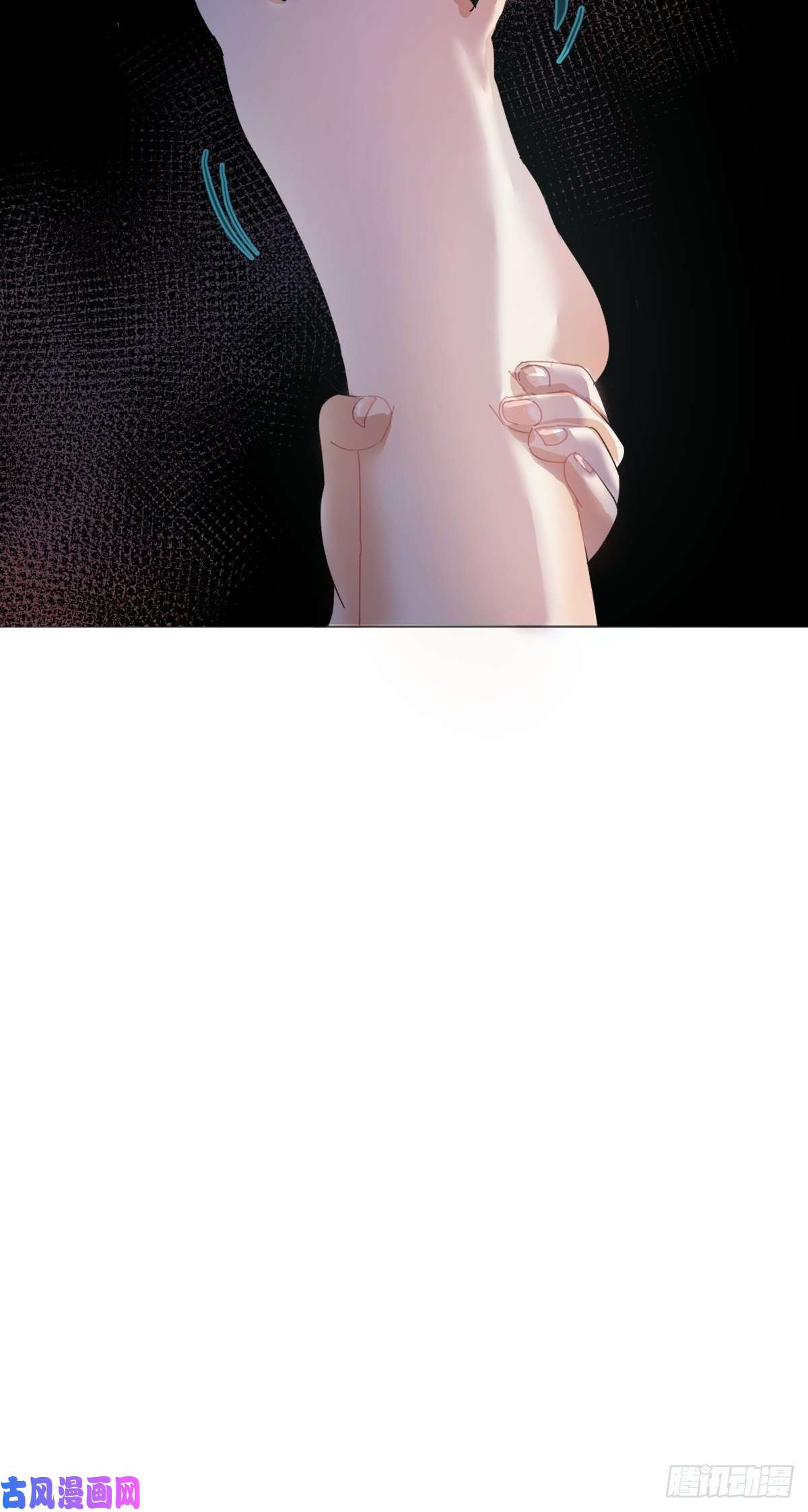 黑背信天翁大自然都接纳它们