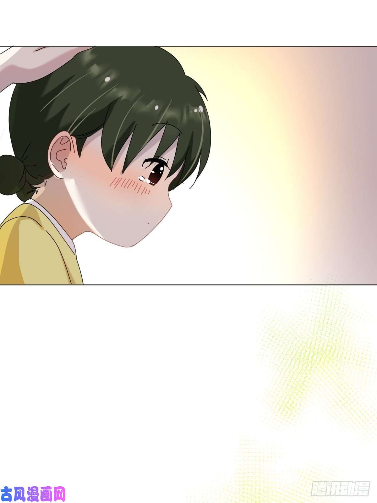 黑背信天翁说好的“考核员”兼“室友”呢