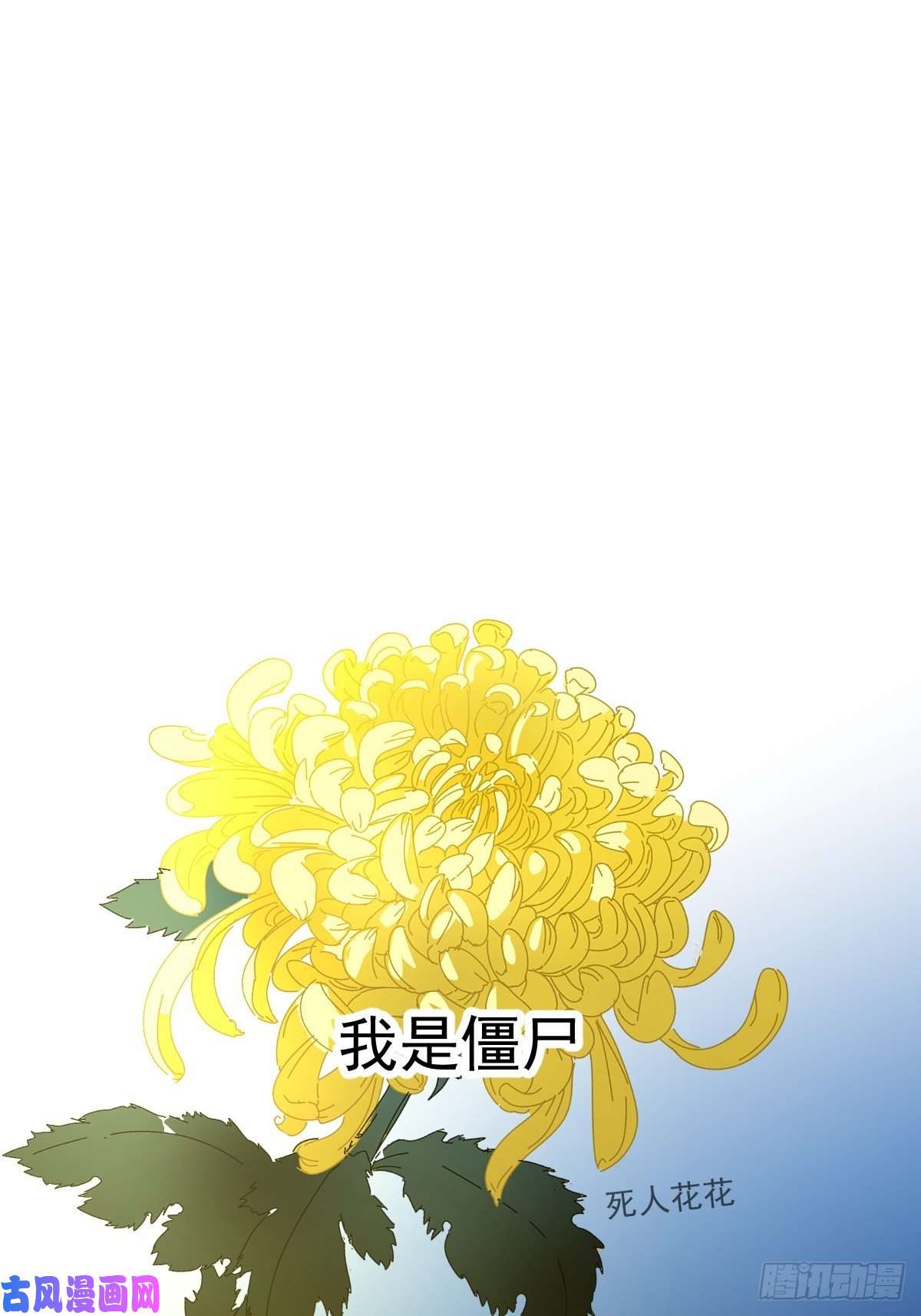 黑背信天翁说好的“考核员”兼“室友”呢