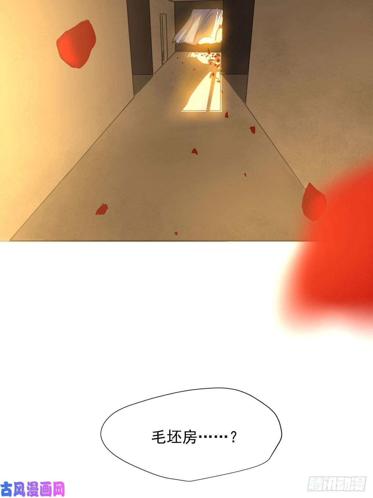 黑背信天翁说好的“考核员”兼“室友”呢