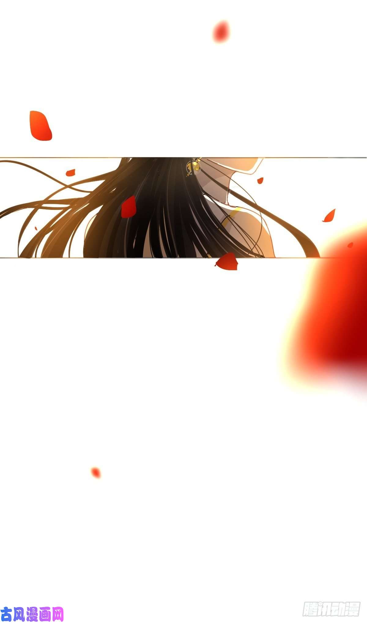 黑背信天翁说好的“考核员”兼“室友”呢