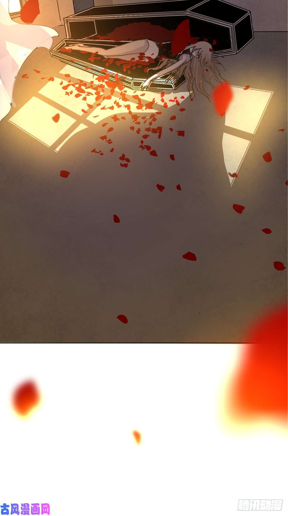 黑背信天翁说好的“考核员”兼“室友”呢