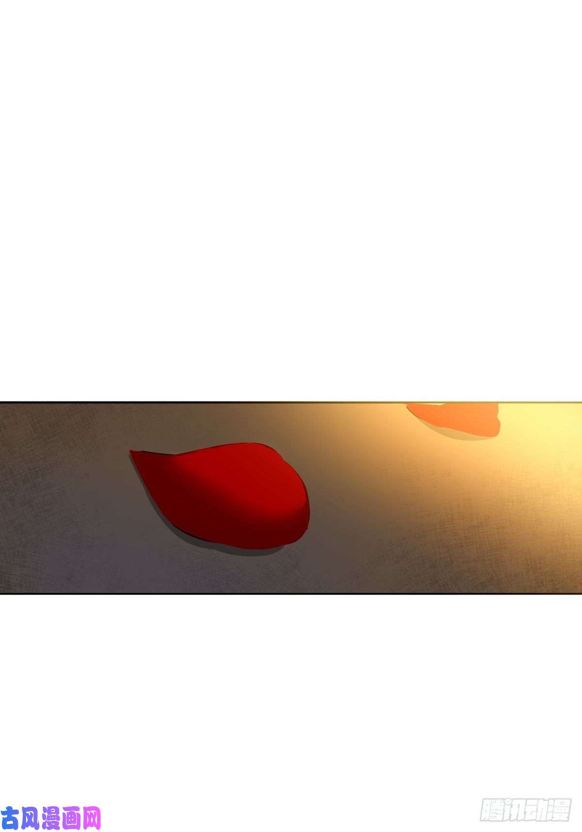 黑背信天翁僵尸可不会呼吸困难