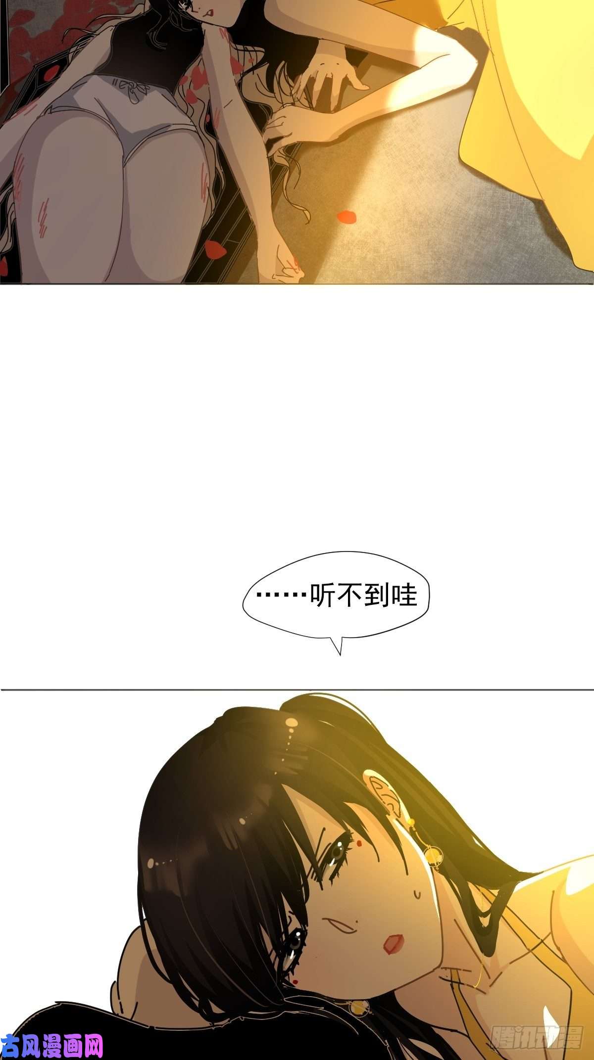 黑背信天翁僵尸可不会呼吸困难