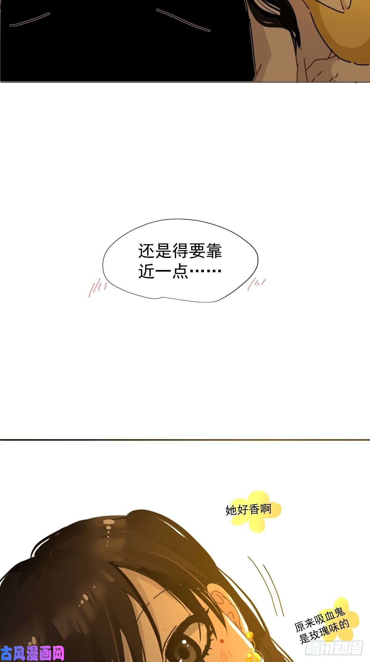 黑背信天翁僵尸可不会呼吸困难