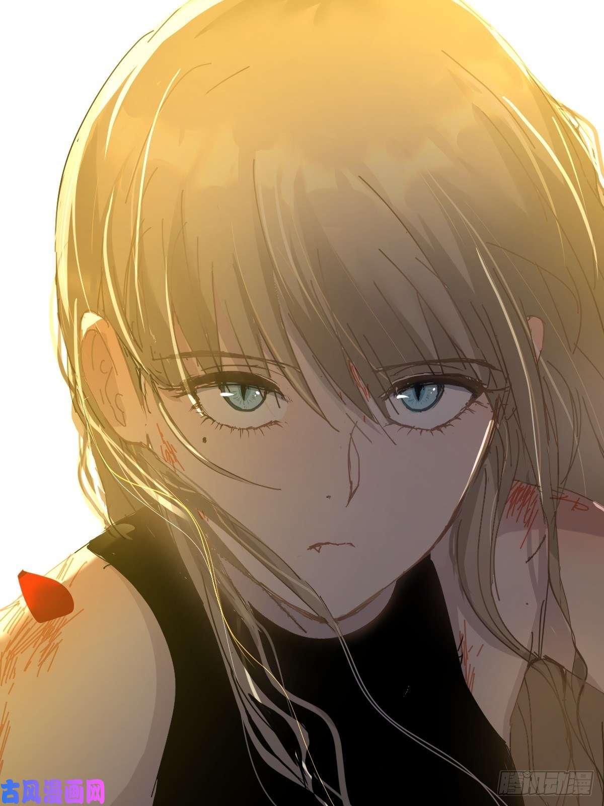 黑背信天翁僵尸可不会呼吸困难