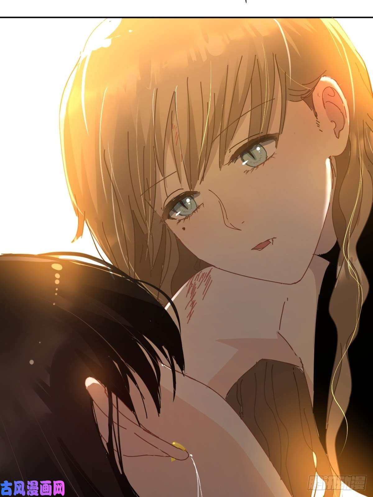 黑背信天翁僵尸可不会呼吸困难