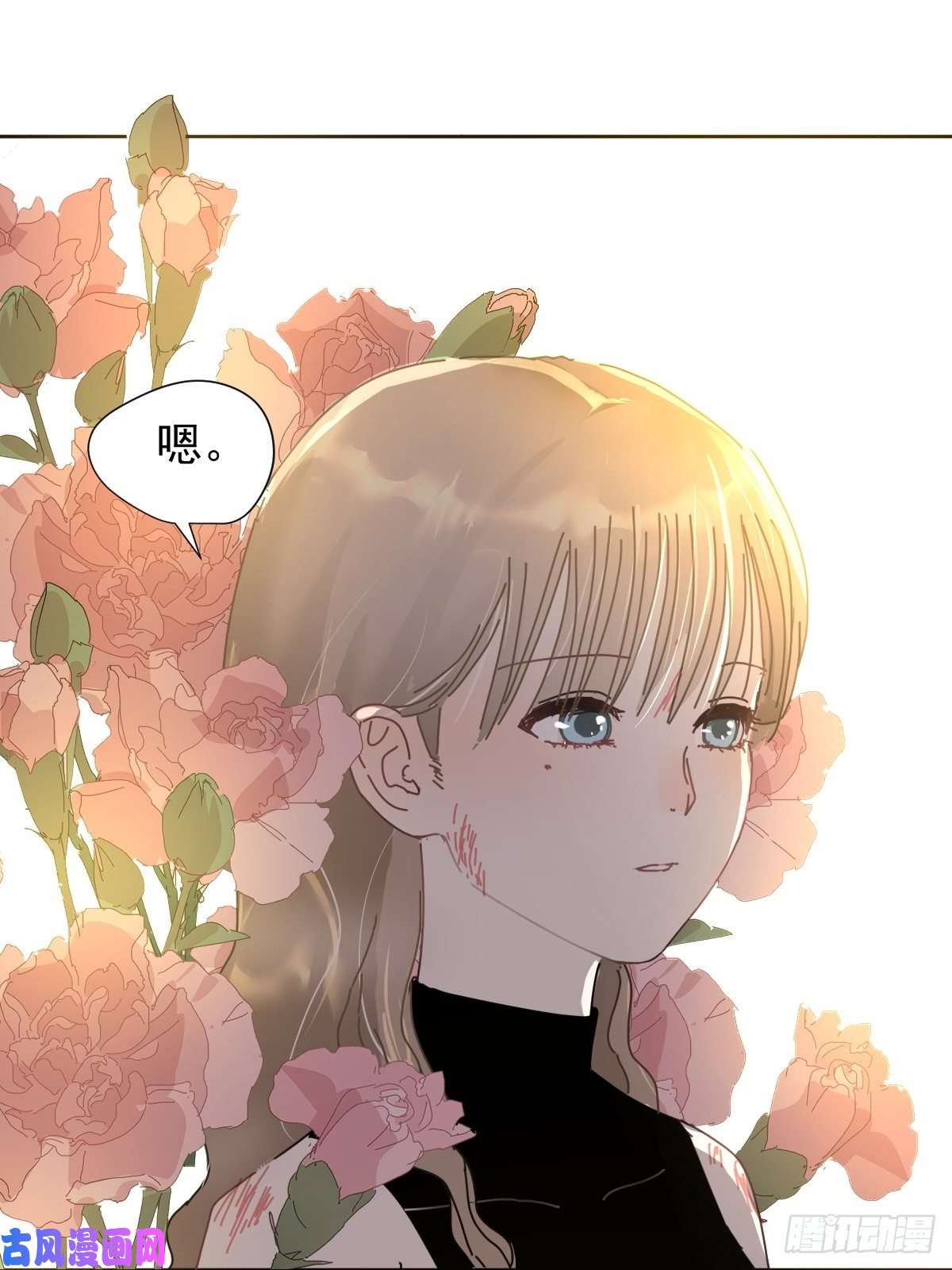 黑背信天翁她一定很痛吧