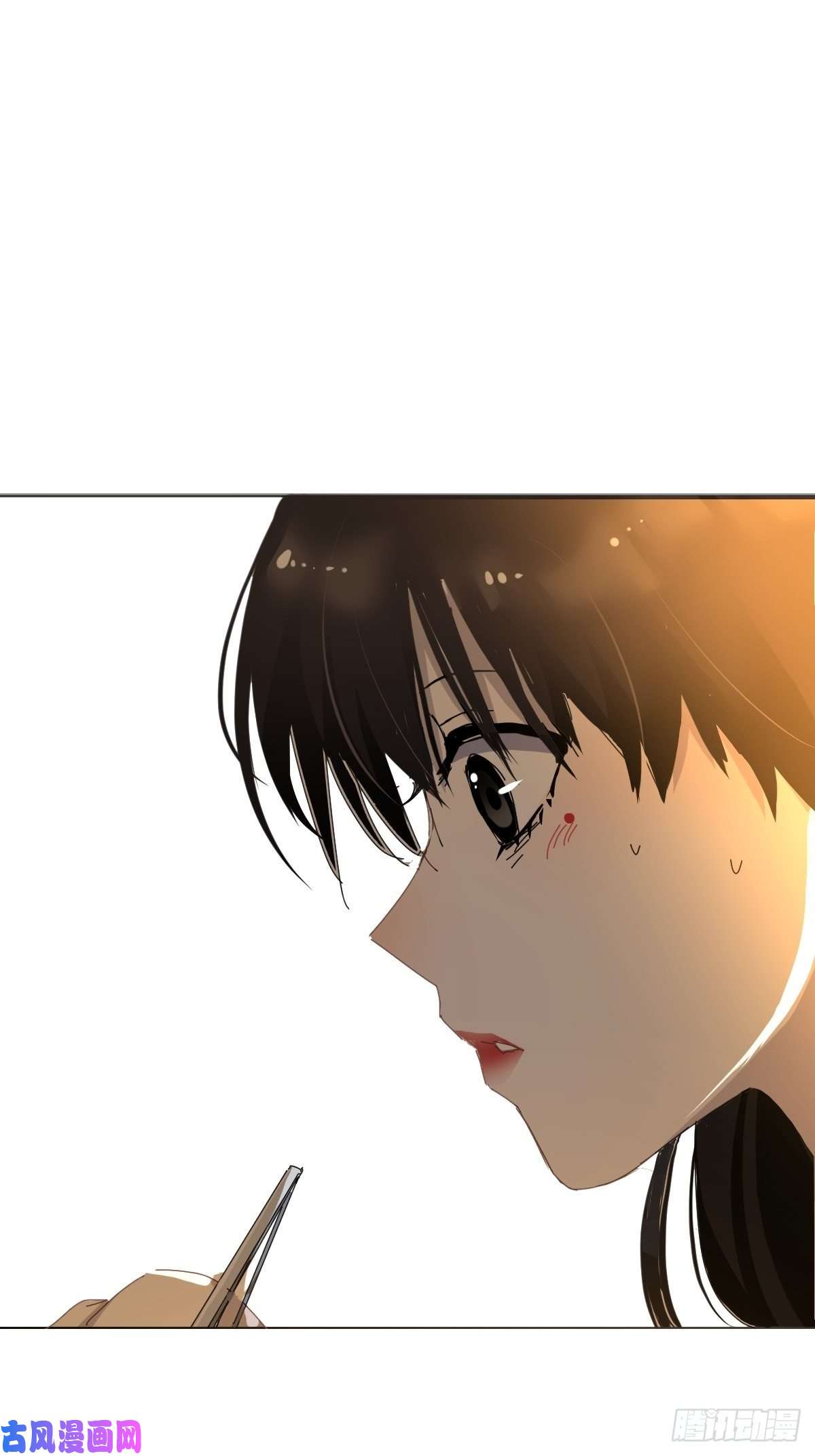 黑背信天翁她一定很痛吧