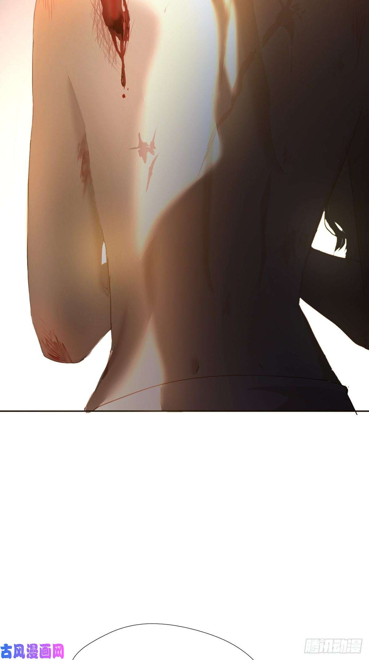 黑背信天翁她一定很痛吧