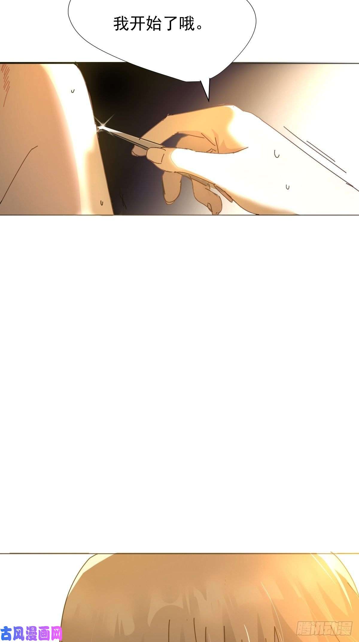 黑背信天翁她一定很痛吧