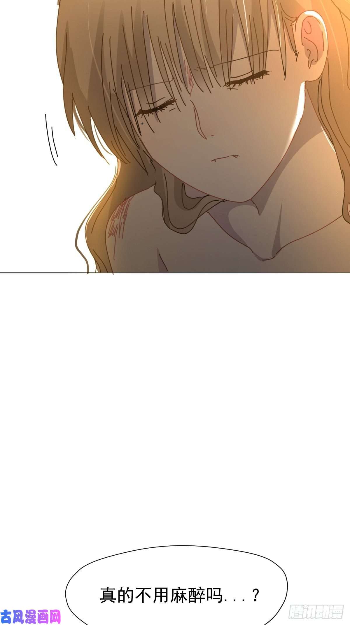 黑背信天翁她一定很痛吧